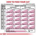 Royal Canin Veterinary Diet Adult Renal Support F Dry Cat Food