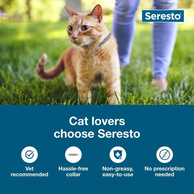 Seresto for Cats with Fleas and Ticks