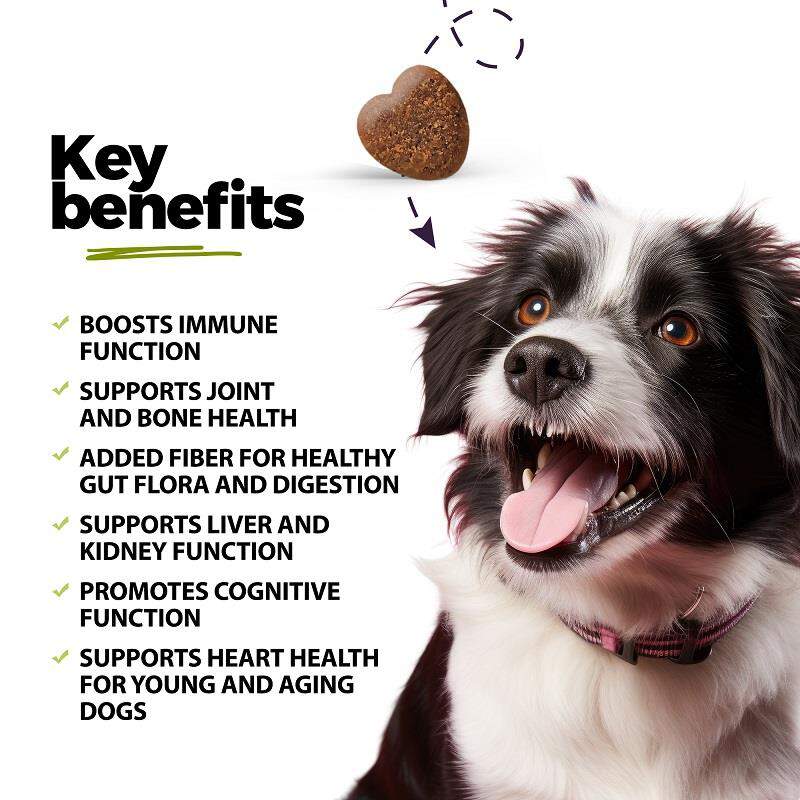 Super Multivitamin CoQ10 & Probiotic Soft Chews for Dogs, 60 ct