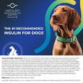Vetsulin Insulin for Dogs and Cats 10 ml Vial