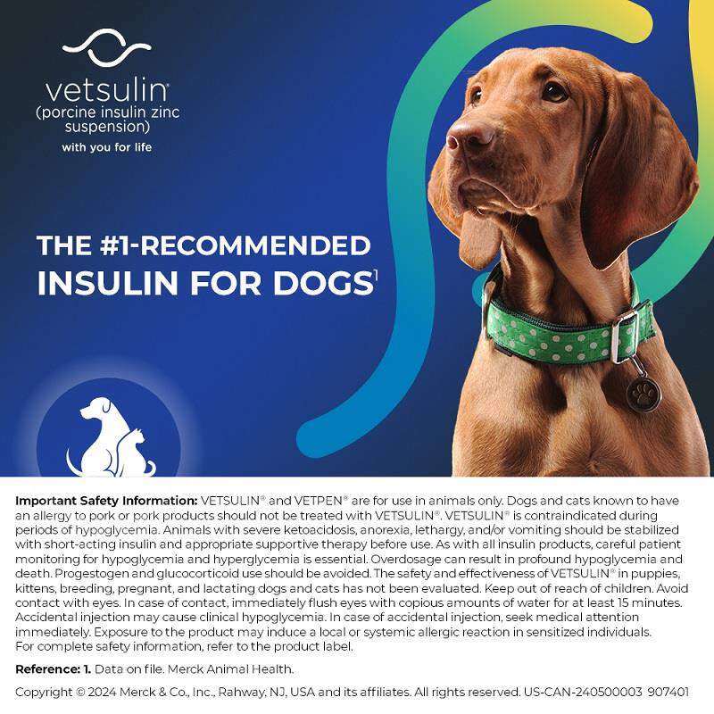 Vetsulin Insulin for Dogs and Cats 10 ml Vial