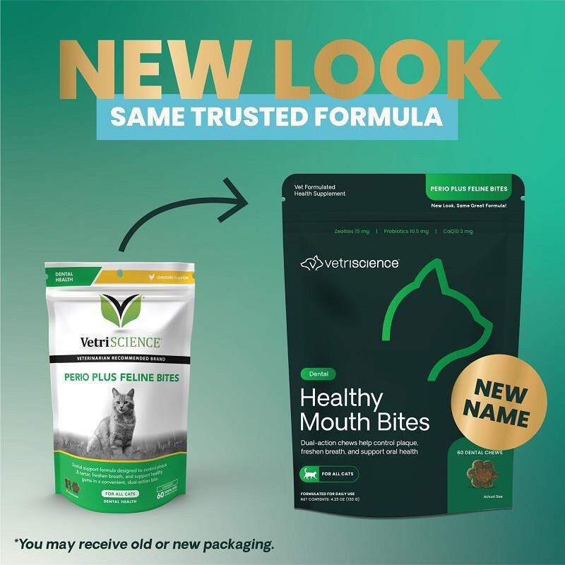 VetriScience Healthy Mouth Bites Perio Plus Feline Bites, 60 ct