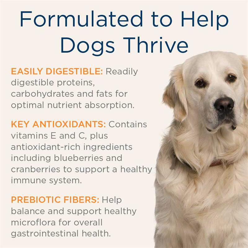 Blue Buffalo Natural Veterinary Diet GI Gastrointestinal Support Dog Food