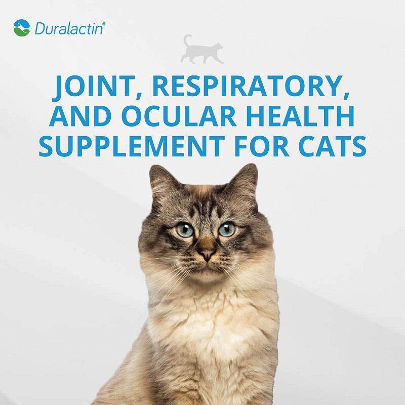 Veterinary Products Laboratories Duralactin Feline L-Lysine for Cats with Chronic Inflammatory and Musculoskeletal Conditions, 32.5 mL