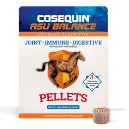 Cosequin ASU Balance Joint, Immune, and Digestive Health Supplement For Horses, 1,200 gm