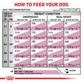 Royal Canin Veterinary Diet Adult Renal Support A Dry Dog Food