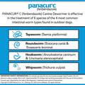 Panacur C Canine Dewormer