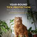 Revolution Plus for Cats