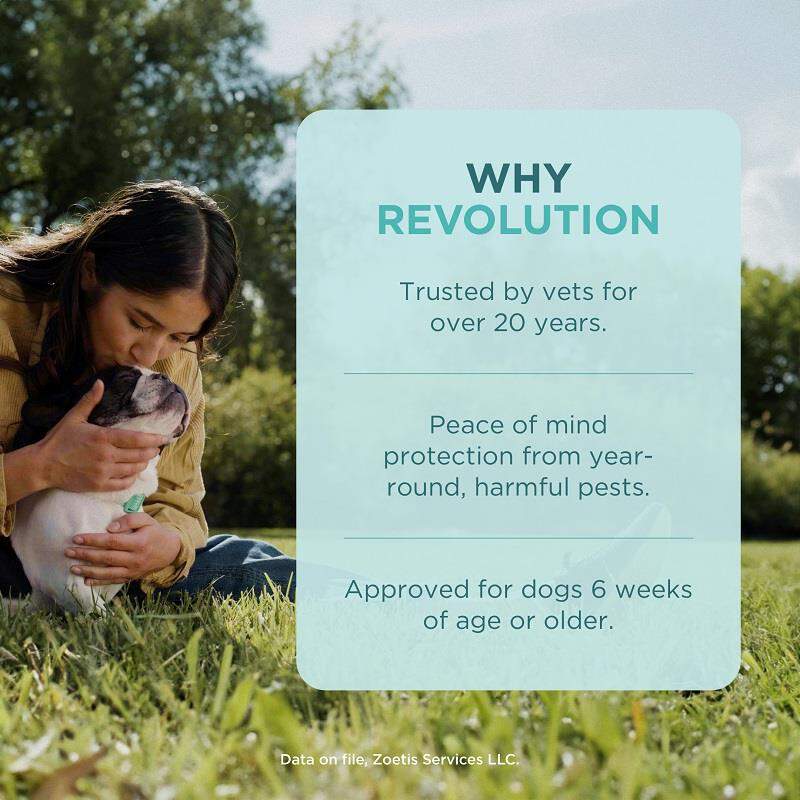 Revolution Topical for Dogs