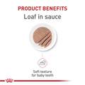 Royal Canin Feline Health Nutrition Kitten Loaf in Sauce Canned Cat Food, Case of 24