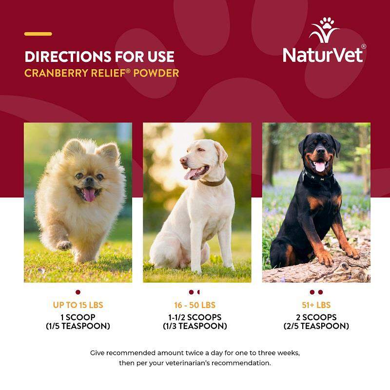 NaturVet Cranberry Relief Powder, 50 gm