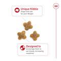 Royal Canin Breed Health Nutrition Beagle Adult Dry Dog Food