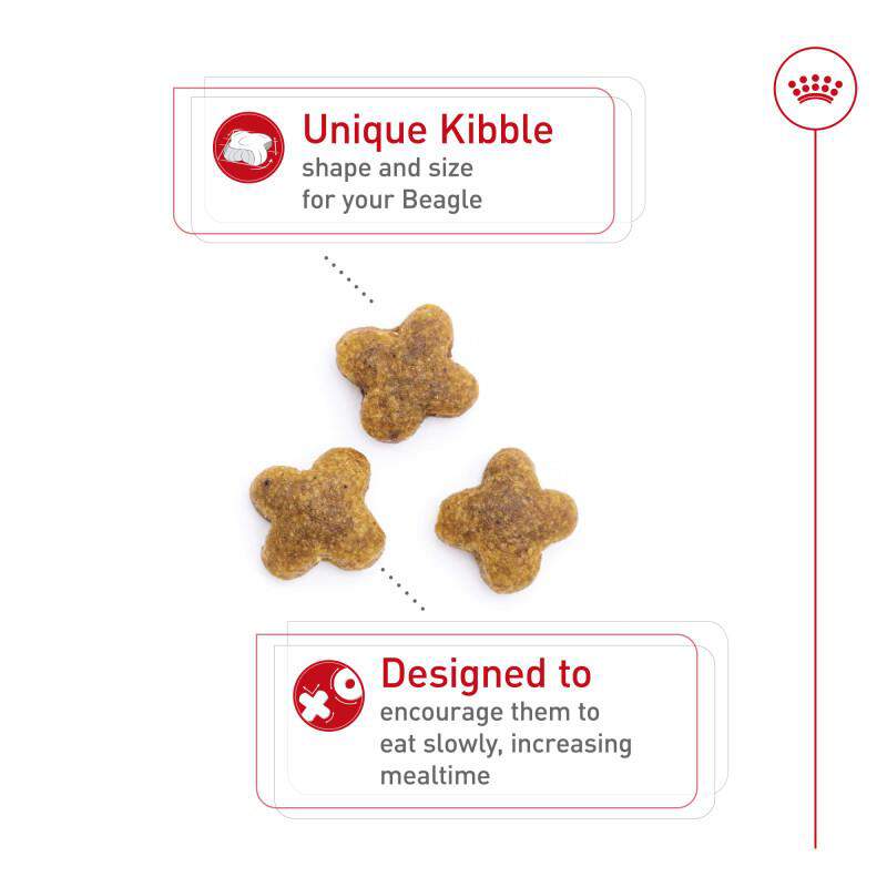 Royal Canin Breed Health Nutrition Beagle Adult Dry Dog Food