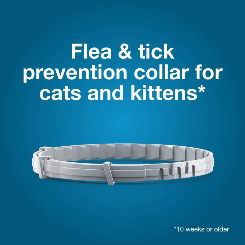 Seresto for Cats with Fleas and Ticks