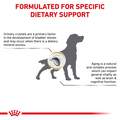 Royal Canin Veterinary Diet Adult Urinary SO Aging 7+ Dry Dog Food