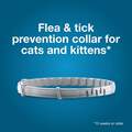Seresto Flea and Tick Prevention Collar for Cats, 8 month flea and tick prevention