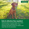 Advantus Oral Flea Treatment Soft Chews for Dogs