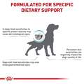 Royal Canin Veterinary Diet Adult Hydrolyzed Protein HP Dry Dog Food