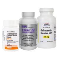 Epilepsy & Seizure
