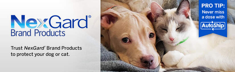 NexGard