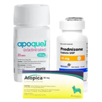 Allergy & Antihistamines